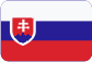 DAMOVO Česká republika s.r.o. Slovensky